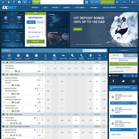 انواع شرطبندی